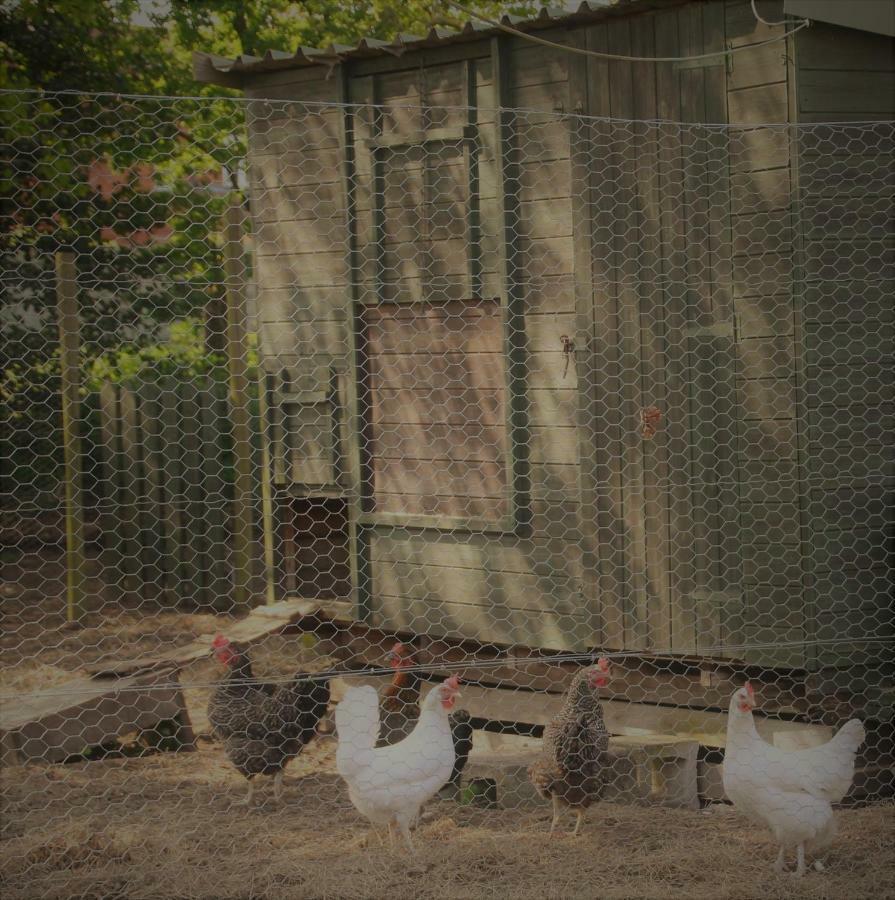 Forest Farm Papplewick Nottingham - Spacious Self-Contained Rural Retreat! 外观 照片